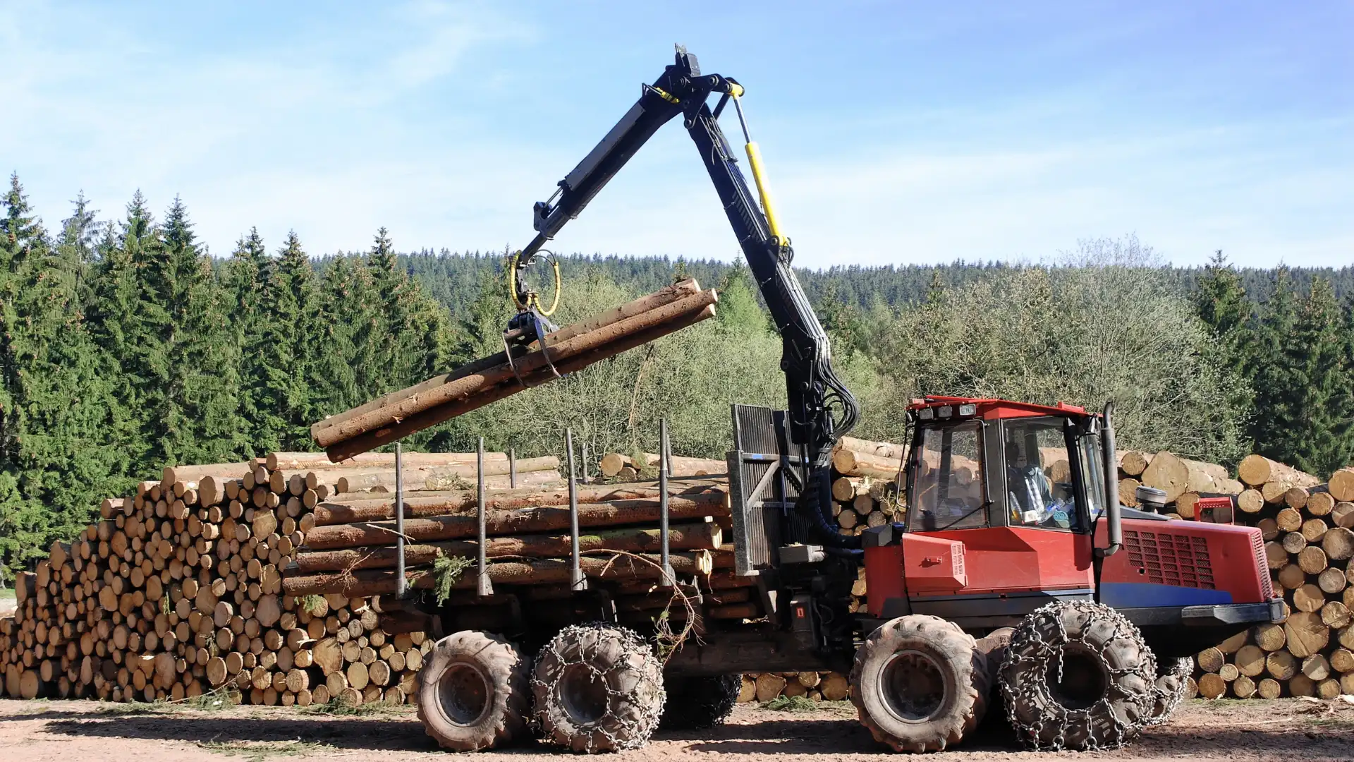 Forestal